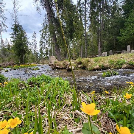 Apartment In Tatranska Strba/Near Strbske Pleso With Free Parking Luaran gambar
