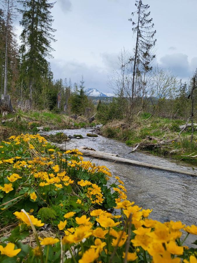 Apartment In Tatranska Strba/Near Strbske Pleso With Free Parking Luaran gambar